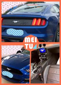 萬豪汽車租賃51